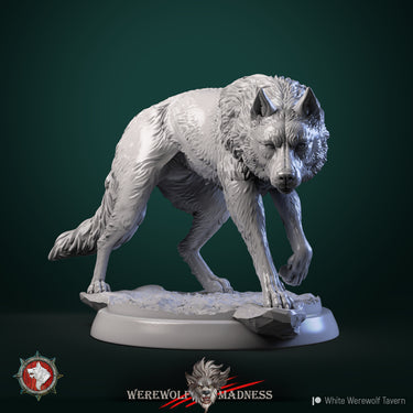 Wolf Bundle